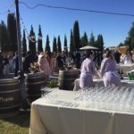 Boda Bodegas Martínez Payva